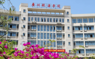 2024年浙江539分能报什么大学