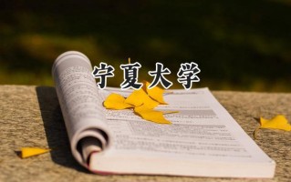 宁夏大学2024在山东录取分数线是多少？最低522分/最高595分