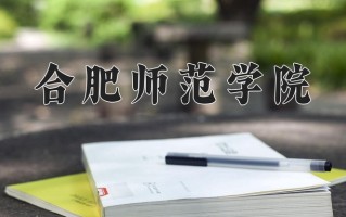 合肥师范学院最厉害的专业-2024合肥师范学院最好专业