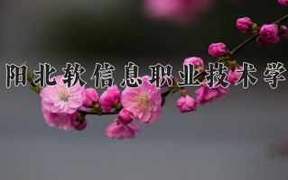 沈阳北软信息职业技术学院学费多少钱一年：9800-12800元/年（2025填报参考）