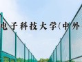 2024杭州电子科技大学(中外合作)录取分数线，重庆录取最低分578