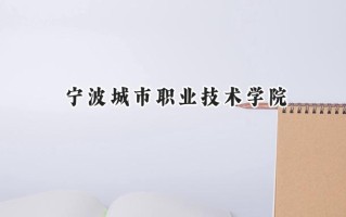 2024宁波城市职业技术学院录取分数线：河南最低373分