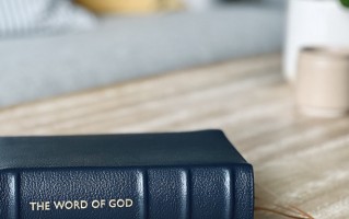 2024年高校艺术类专业、高水平运动队和保送生招生都有哪些变化？一文详解