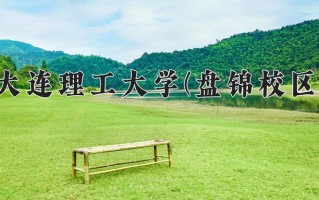 辽宁考生多少分能上大连理工大学(盘锦校区)？2025最低596分