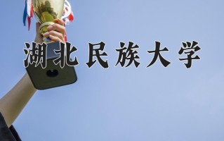 辽宁考生多少分能上湖北民族大学？2025最低457分
