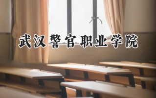 武汉警官职业学院2024在青海录取分数线是多少？最低316分/最高385分