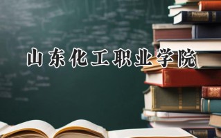 2024山东化工职业学院录取分数线：江苏最低323分