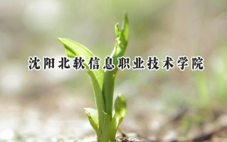 2024沈阳北软信息职业技术学院录取分数线：山西最低200分