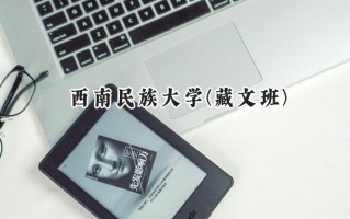 西南民族大学(藏文班)2024在青海录取分数线是多少？最低429分/最高532分