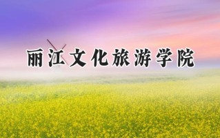 2024丽江文化旅游学院录取分数线：陕西最低330分