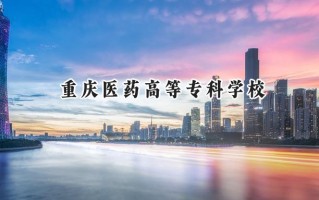 重庆医药高等专科学校2024在浙江录取分数线是多少？最低505分/最高569分