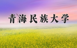 青海民族大学王牌专业排名-含2025年全国各省录取最低分数线