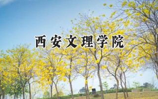 2024西安文理学院录取分数线：宁夏最低423分