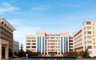 2024郑州澍青医学高等专科学校录取分数线，重庆录取最低分381