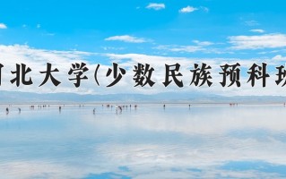 2024年河北大学(少数民族预科班)录取分数线，河北最低537分