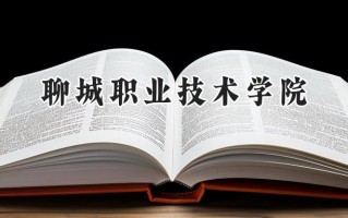 2024聊城职业技术学院录取分数线：河南最低310分