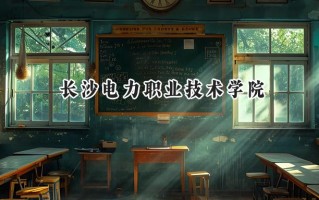 2024长沙电力职业技术学院录取分数线：陕西最低388分