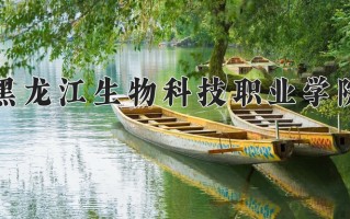 陕西294分能上什么大学？附2025年可以报考的大学名单