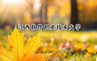 江西软件职业技术大学2024在青海录取分数线是多少？最低217分/最高241分