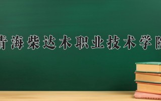 2024年青海柴达木职业技术学院录取分数线，宁夏最低308分