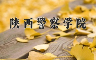 2024陕西警察学院录取分数线，重庆录取最低分419