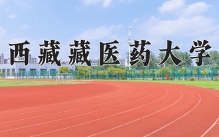 西藏藏医药大学全国排名和最强专业解析