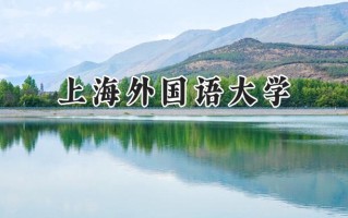 上海外国语大学2024在福建录取分数线是多少？最低595分/最高623分