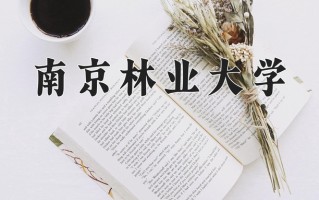 宁夏490分能上什么大学？附2025年可以报考的大学名单