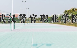云南392分能上什么大学？附2025年可以报考的大学名单