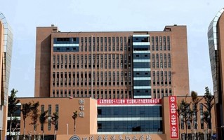 2024四川希望汽车职业学院录取分数线，重庆录取最低分180