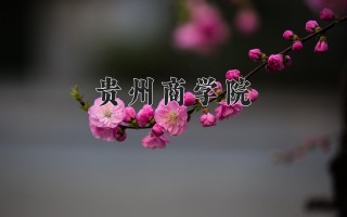 贵州商学院学费多少钱一年：4100-22000元/年（2025填报参考）