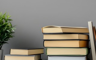 2025年山东师范大学在广东计划招生人数（附学费及专业录取分）