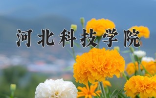 河北科技学院王牌专业排名-含2025年全国各省录取最低分数线