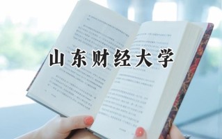 山东财经大学2024在浙江录取分数线是多少？最低565分/最高623分