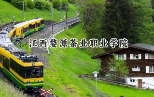 2024江西婺源茶业职业学院录取分数线：江苏最低291分