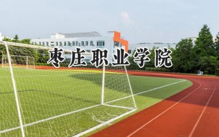 枣庄职业学院2024在内蒙古录取分数线是多少？最低221分/最高388分
