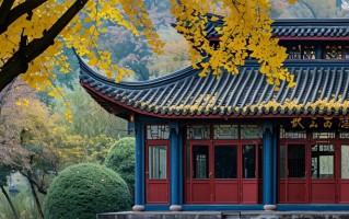 塞尔维亚语专业好找工作吗？附2025年塞尔维亚语专业就业方向及前景
