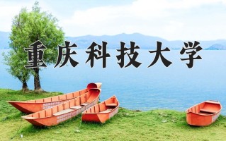 2024重庆科技大学排名-最新全国排名第273位