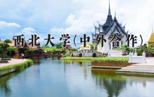 2025年西北大学(中外合作)在四川计划招生人数（附学费及专业录取分)