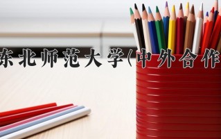 2025年东北师范大学(中外合作)在四川计划招生人数（附学费及专业录取分)