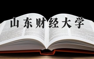 山东财经大学最厉害的专业-2024山东财经大学最好专业