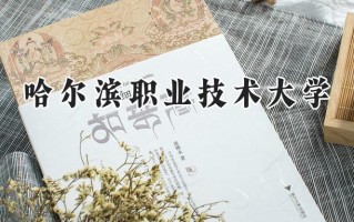 哈尔滨职业技术大学2024在山东录取分数线是多少？最低424分/最高498分