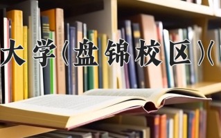 2025年大连理工大学(盘锦校区)(中外合作)在四川计划招生人数（附学费及专业录取分)