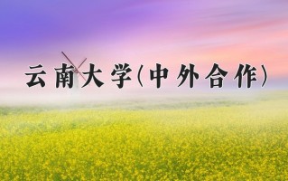 2025年云南大学(中外合作)在四川计划招生人数（附学费及专业录取分)