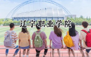 辽宁职业学院2024在青海录取分数线是多少？最低249分/最高296分