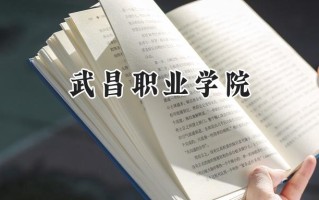 2024武昌职业学院录取分数线：江苏最低340分