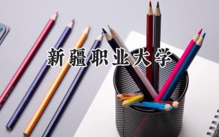 新疆职业大学2024在山东录取分数线是多少？最低320分/最高431分