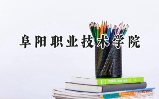 阜阳职业技术学院2024在山东录取分数线是多少？最低351分/最高426分