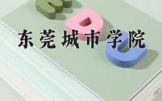 辽宁考生多少分能上东莞城市学院？2025最低372分