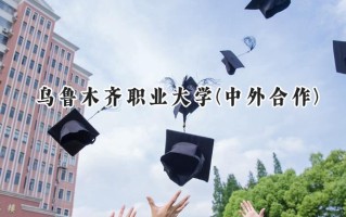 2024乌鲁木齐职业大学(中外合作)录取分数线：河南最低193分